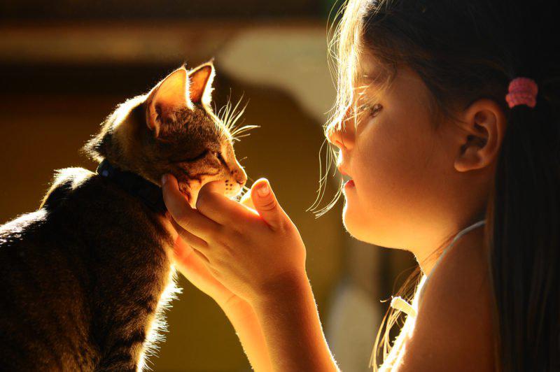 Crianças e animais de estimação